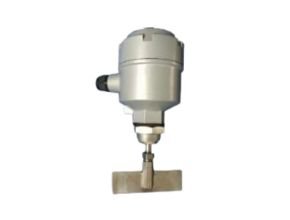 Rotary Paddle Flow Switch FRP-XK30