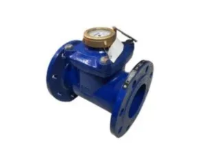 BR Water Meter 4 Inch
